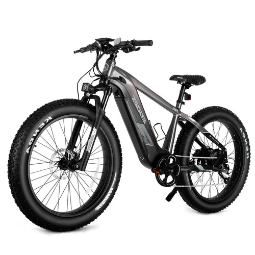 eBike Boys 52V 750W Adult eBike - 17AH Battery, Top Speed 32km/h - Crown&Co