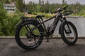 eBike Boys 52V 750W Adult eBike - 17AH Battery, Top Speed 32km/h - Crown&Co