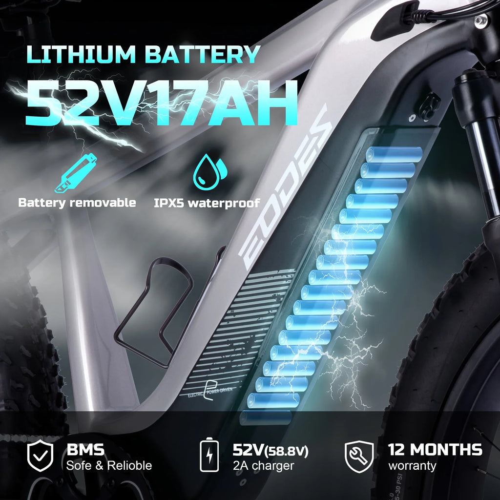 eBike Boys 52V 750W Adult eBike - 17AH Battery, Top Speed 32km/h - Crown&Co